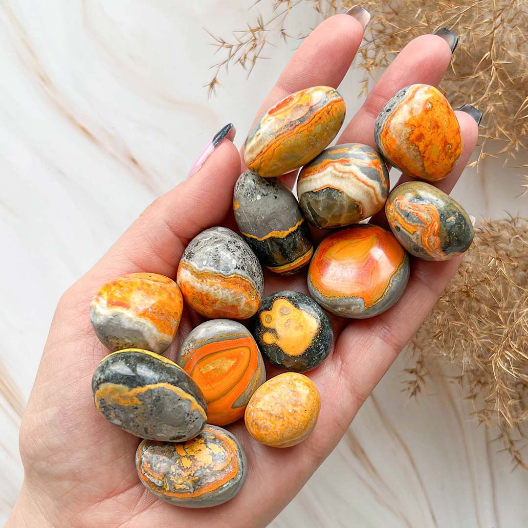 Dongójáspis marokkő