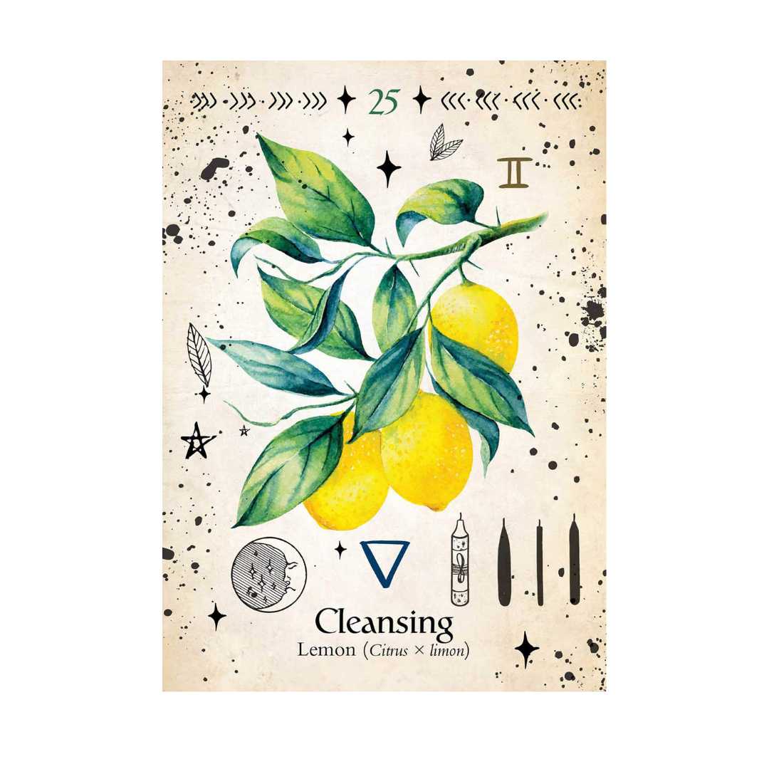 Green Witch Orákulum kártya - Image 5