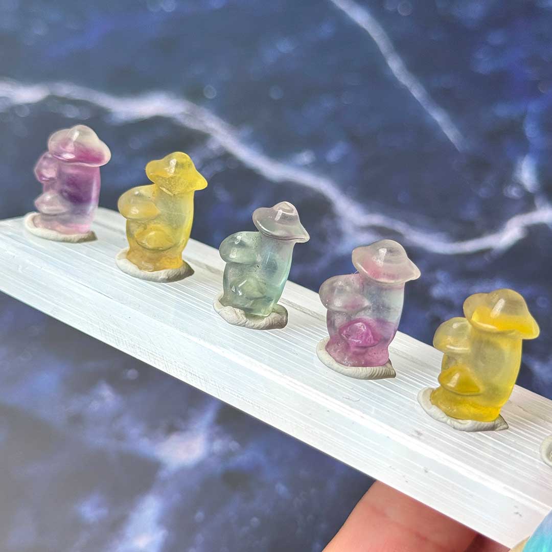 Fluorit gomba faragvány