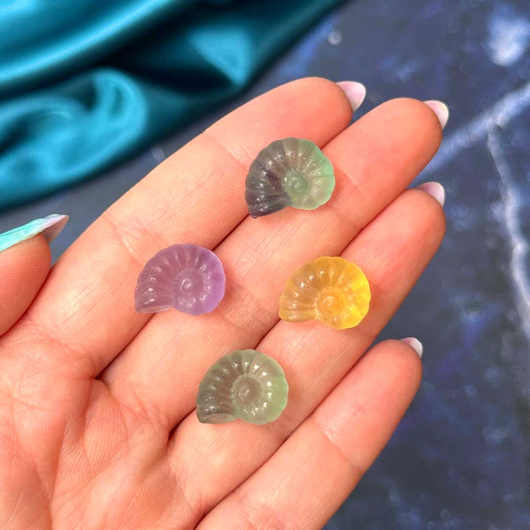 Fluorit mini kagyló faragvány