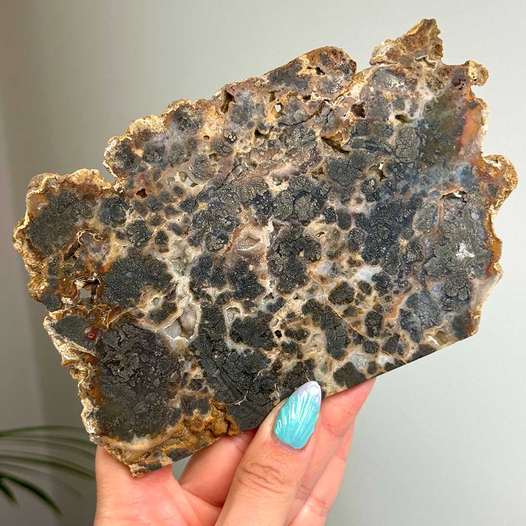 Markazit szelet - ritkaság - Image 5