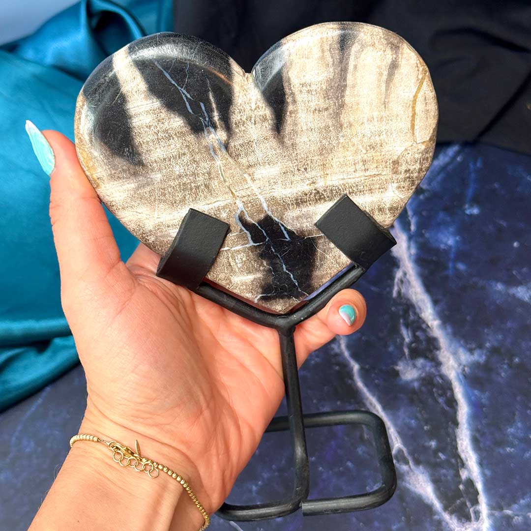 Indonéz Fosszilizálódott fa kövület Szív állvány (2)