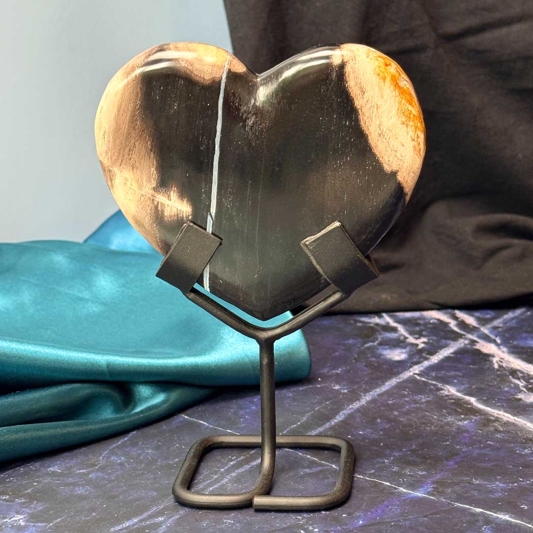 Indonéz Fosszilizálódott fa kövület Szív állvány (1) - Image 4