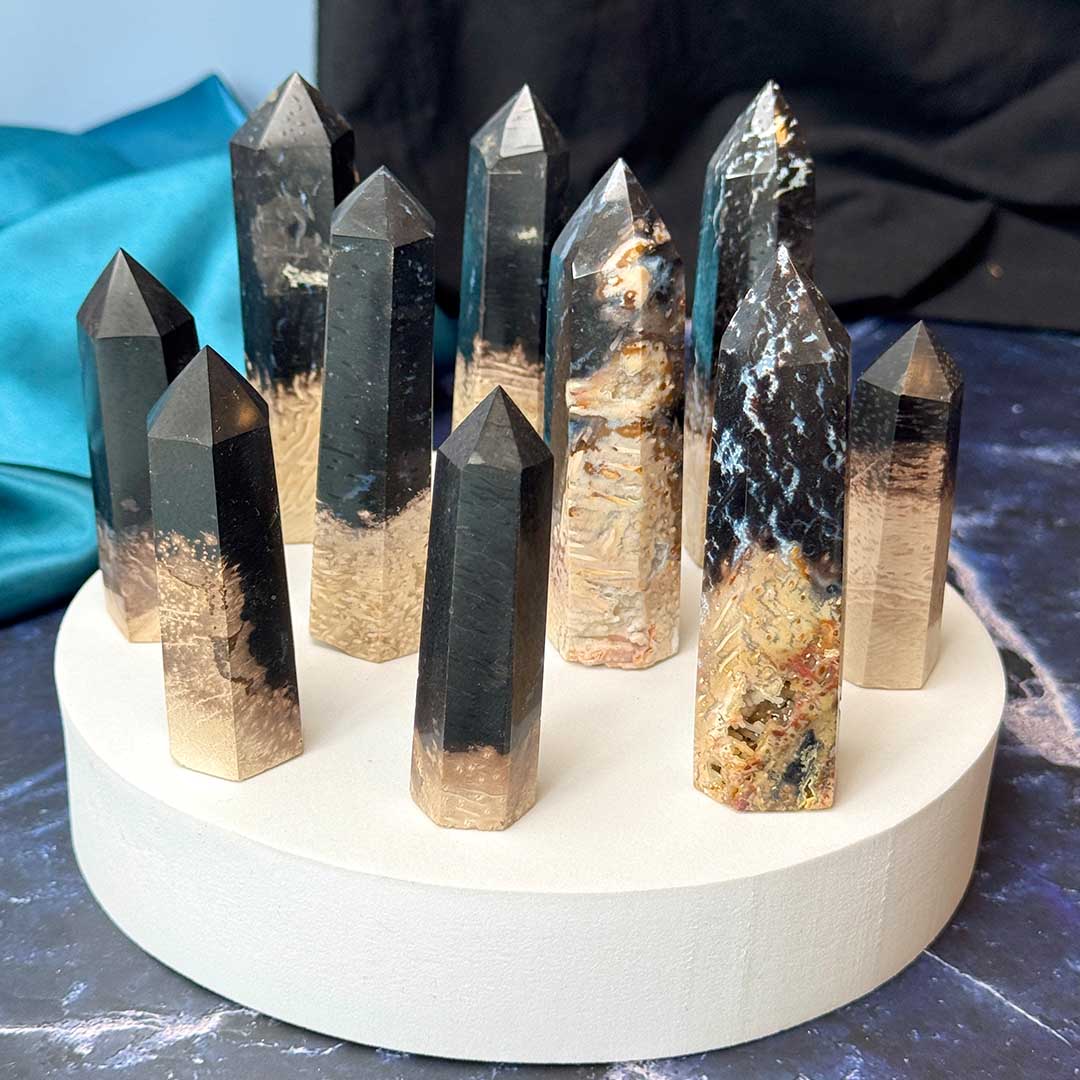 Megkövesedett Pálmagyökér torony Indonéziából