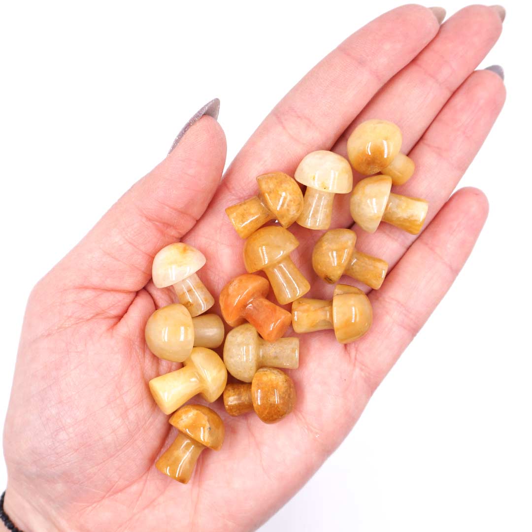 Sárga Hematoid gomba