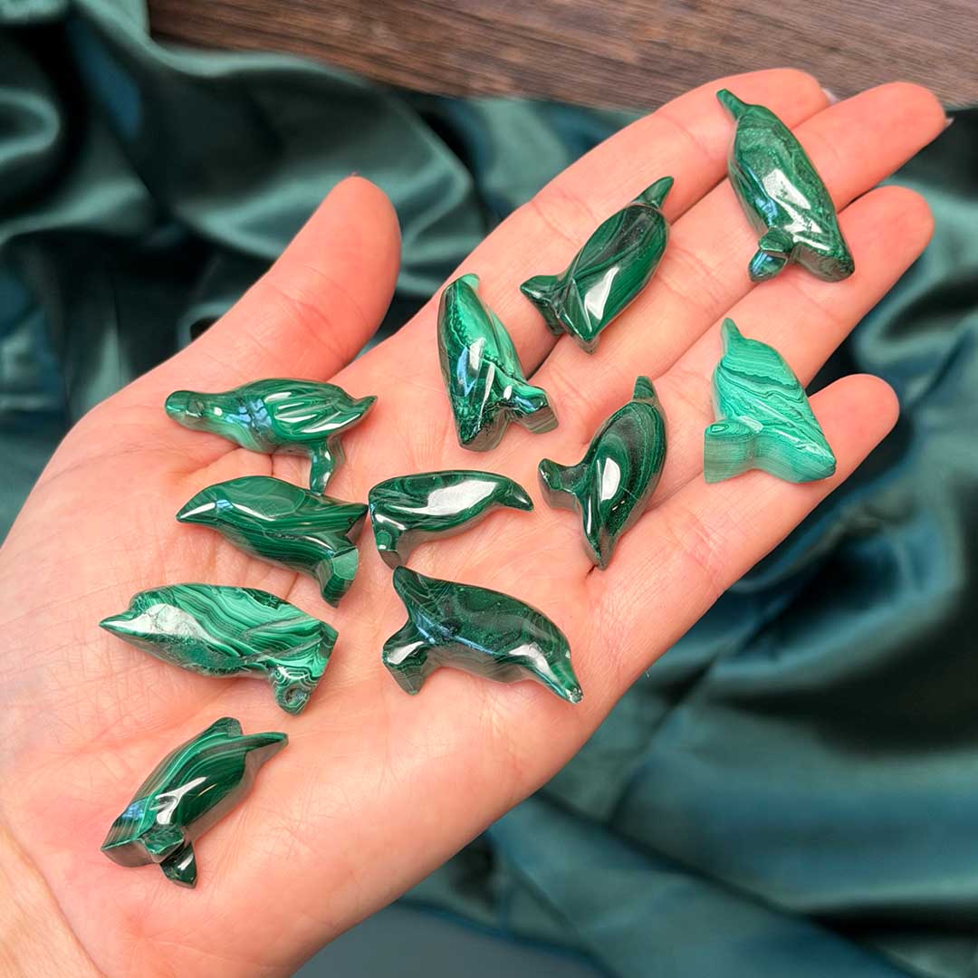 Kongói Malachit pingvin