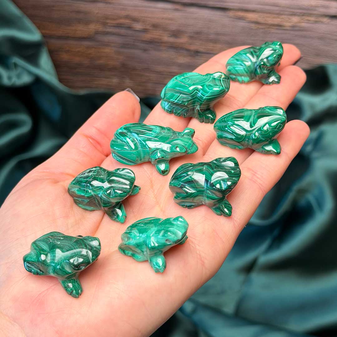 Kongói Malachit béka