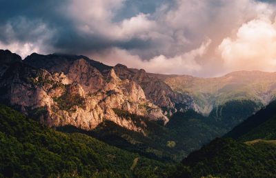 Hert-niks-0goxwwye2zk-unsplash-1860x1200