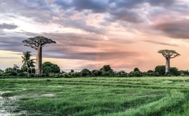madagascar-2018_t20_eorLeL-1860x1144-1-1.jpg
