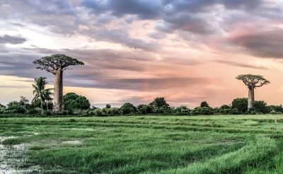 Madagascar-2018_t20_eorlel-1860x1144