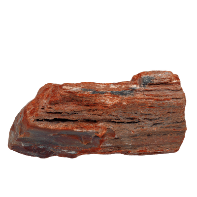 fa kövület ásvány