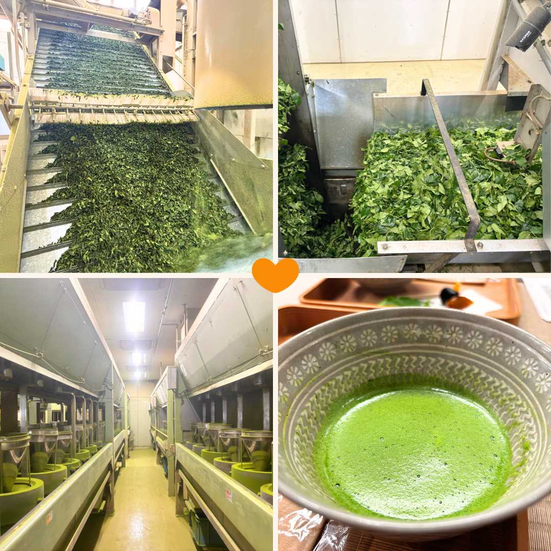 Prémium Matcha - 40g - Image 6
