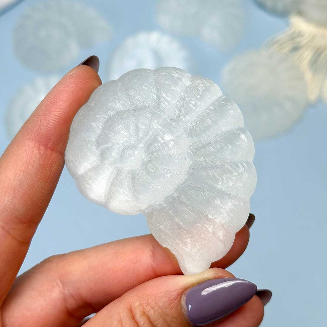 Szelenit kagyló faragvány