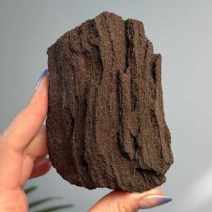 Kristályosodott Fa Fosszília csillogó kvarccal - ritkaság! (2)
