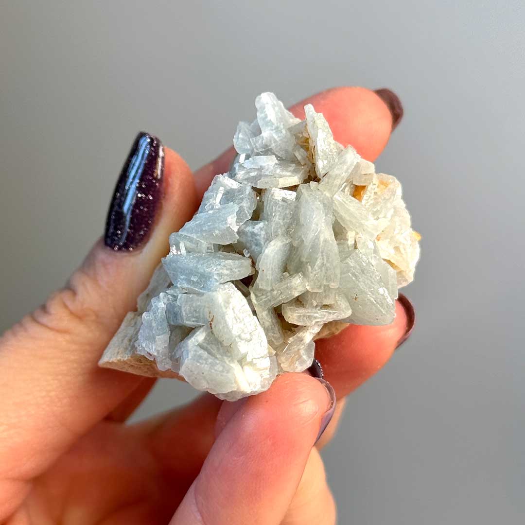 Marokkói kék Barit  - ritka! (8)