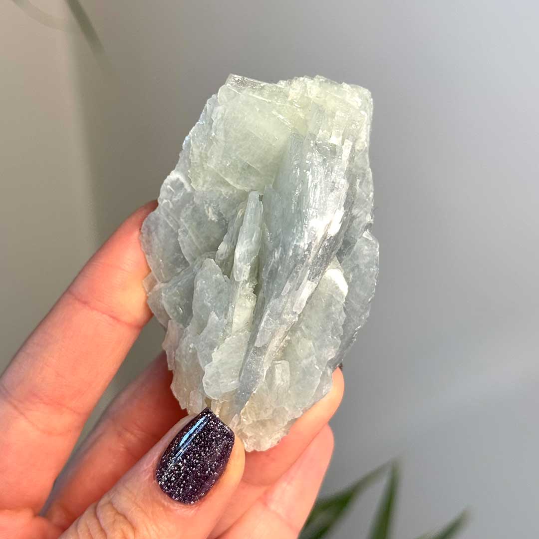 Marokkói kék Barit  - ritka! (5)