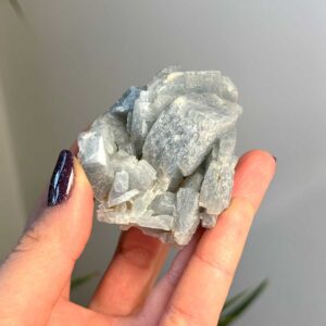 Marokkói kék Barit  - ritka! (6)