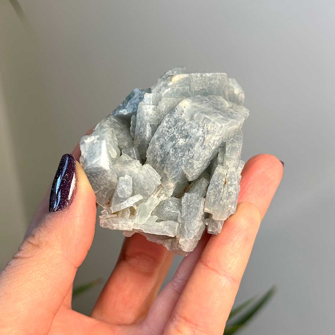 Marokkói kék Barit  - ritka! (6)