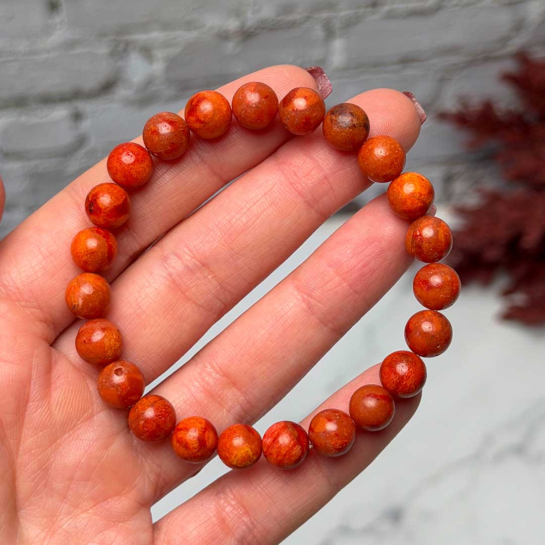 Szivacs Korall karkötő