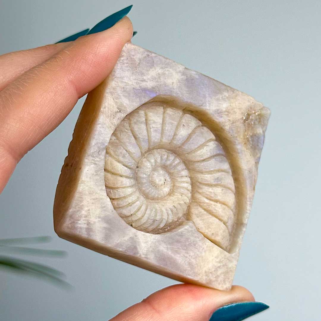 Kék fényű Belomorit holdkő csiga faragvány (1)