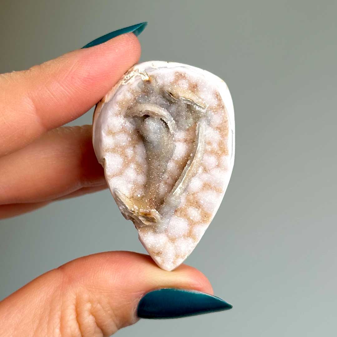 Kvarcos, Kristályosodott Tengeri csiga fosszília (11)